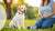 What to Feed Your Dog to Lose Weight: A Comprehensive Guide