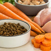 What to Feed Your Dog When You Run Out of Kibble