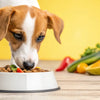 What to Give a Dog to Put on Weight: A Comprehensive Guide for Pet Owners