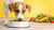What to Give a Dog to Put on Weight: A Comprehensive Guide for Pet Owners