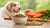 What to Look for in Grain-Free Dog Food: A Comprehensive Guide for Pet Owners