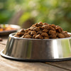 What to Look for in Wet Dog Food: A Comprehensive Guide for Pet Owners