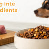 What to Mix in Dry Dog Food: Elevate Your Dog's Dining Experience