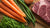 What to Mix with Dog Food for Weight Loss: A Comprehensive Guide
