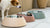 What Type of Water Bowl is Best for Dogs? A Comprehensive Guide for Pet Owners-140794331375