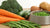 What Vegetables Can I Put in Homemade Dog Food? A Comprehensive Guide for Pet Owners