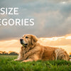 What Weight is Considered a Large Dog? Understanding Dog Size Categories