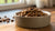 What Wet Dog Food is Good for Puppies: A Comprehensive Guide for Pet Parents