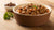 What Wet Dog Food is Good for Sensitive Stomach: A Comprehensive Guide