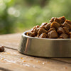 What Wet Dog Food is Grain Free? Understanding the Benefits and Options