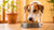 When Can a Dog Eat Adult Food? A Comprehensive Guide to Transitioning Your Puppy