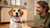When Can Dogs Have Adult Food: A Comprehensive Guide for Pet Parents-141221724399