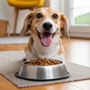 When Can Dogs Start Eating Adult Dog Food? A Comprehensive Guide for Pet Owners