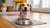 When Can Dogs Start Eating Adult Dog Food? A Comprehensive Guide for Pet Owners