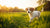 When Can I Start Feeding Puppies Dog Food? A Comprehensive Guide for New Pet Owners