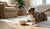 When Can My Dog Eat Adult Dog Food? A Guide to Transitioning from Puppyhood to Adulthood-141416071407