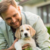 When Can My Puppy Eat Regular Dog Food? A Comprehensive Guide for Pet Parents