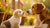 When Can My Puppy Start Eating Adult Dog Food? Understanding the Transition-140136939759