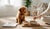 When Can Puppies Eat Adult Dog Food? A Comprehensive Guide for Pet Parents-141415678191