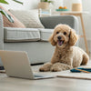 When Can Puppies Eat Dry Kibble? A Comprehensive Guide for Pet Owners