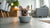 When Can Puppies Eat Solid Food? A Comprehensive Guide for Pet Owners
