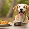 When Can You Switch from Puppy Food to Dog Food? A Comprehensive Guide
