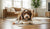 When Do Dogs Move to Adult Food? A Comprehensive Guide to Transitioning Your Pup-141415121135