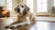 When Do Dogs Need Senior Food: A Comprehensive Guide