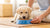 When Do Dogs Start Eating Solid Food? A Comprehensive Guide for New Puppy Owners-140296782063