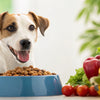 When Do Dogs Stop Eating Puppy Food? Understanding the Transition to Adult Dog Food