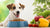 When Do Dogs Stop Eating Puppy Food? Understanding the Transition to Adult Dog Food