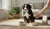When Do Dogs Transition to Adult Food? A Comprehensive Guide for Pet Parents-141420626159