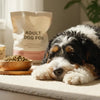 When Do I Switch My Dog to Adult Food? A Comprehensive Guide for Dog Owners