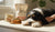 When Do I Switch My Dog to Adult Food? A Comprehensive Guide for Dog Owners-141415448815