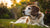 When Do I Switch My Dog to Senior Food? Understanding the Right Time for Your Aging Pup-141046939887