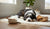 When Do I Switch to Adult Dog Food? A Guide for Responsible Pet Owners-141421510895