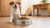 When Do I Take My Dog Off Puppy Food? A Comprehensive Guide to Transitioning to Adult Dog Food