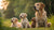 When Do Puppies Start Eating Adult Dog Food? A Comprehensive Guide for Pet Owners