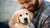 When Do You Change Puppy Food to Dog Food? A Comprehensive Guide for Pet Parents