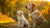 When Do You Change Puppy Food to Regular Dog Food? A Comprehensive Guide