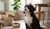 When Do You Feed Dogs Adult Food? A Comprehensive Guide for Pet Parents