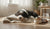 When Do You Give a Dog Adult Food? A Comprehensive Guide for Pet Owners-141420495087