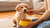 When Do You Give Puppies Dog Food? A Comprehensive Guide for New Pet Parents