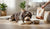 When Do You Switch Dogs From Puppy to Adult Food? Understanding the Transition for Optimal Nutrition-141420527855
