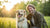 When Do You Take a Dog Off Puppy Food? A Comprehensive Guide for Pet Parents