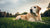 When Does My Dog Need Senior Food? Essential Insights for Every Dog Parent-141100417263