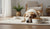 When is a Dog an Adult for Food? Understanding the Transition from Puppyhood to Adulthood-141419413743