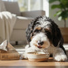 When is the Right Time to Feed Adult Dog Food? Understanding What Age to Transition