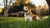 When Should a Dog Stop Eating Puppy Food? Understanding the Perfect Transition