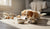 When Should a Puppy Eat Adult Dog Food?-141419118831